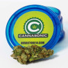 Cannasonic   Big Bud x Skunk - Medical Nova Seeds