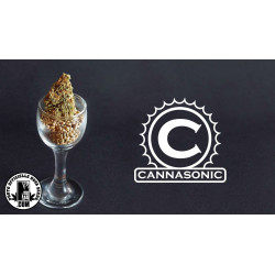 Cannasonic   Big Bud x Skunk - Medical Nova Seeds