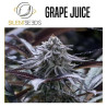 SILENT SEEDS GRAPE JUICE