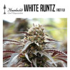 WHITE RUNTZ FAST FLOWERING