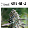 HUMBOLDT SEED ORGANIZATION RUNTZ FAST FLOWERING