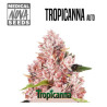 TROPICANNA AUTO MEDICAL NOVA