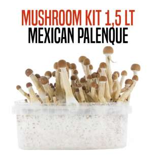 GROW KIT MEXICAN PALENQUE