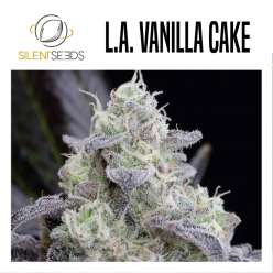 L.A VANILLA CAKE