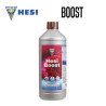 HESI BOOST