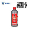 HESI COMPLEJO RADICULAR 