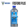 HESI FOSFOR PLUS 
