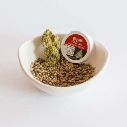 Big red haze auto - Medical Nova Seeds