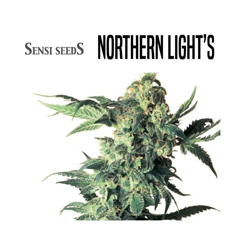 NORTHERN LIGHTS
