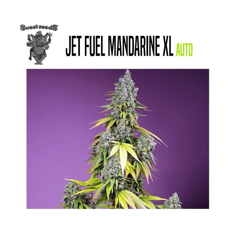 JET FUEL MANDARINE XL AUTO 