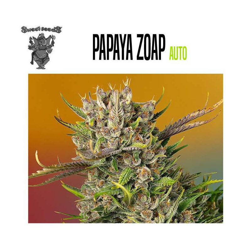 PAPAYA ZOAP AUTO
