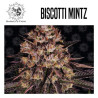 BISCOTTI MINTZ
