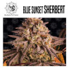 BLUE SUNSET SHERBET