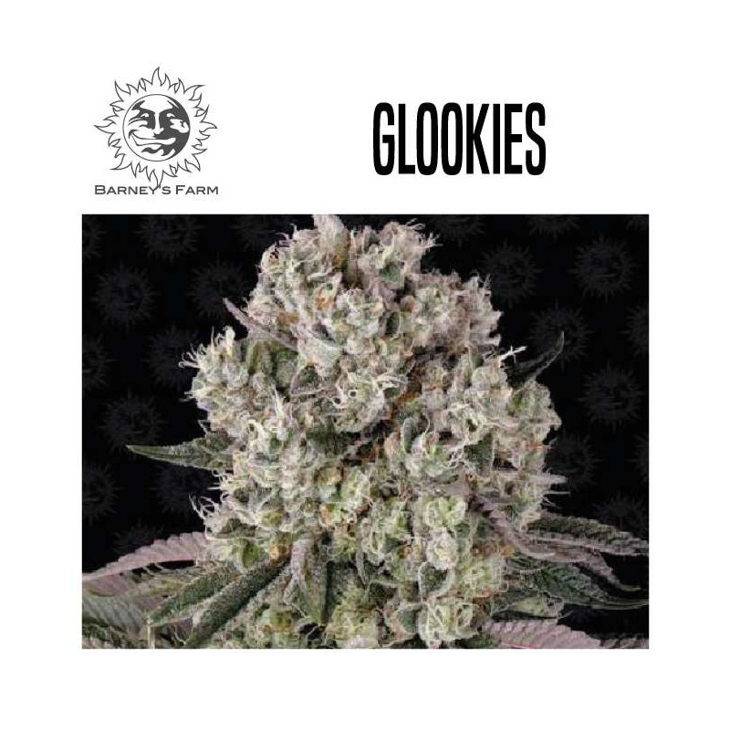 GLOOKIES