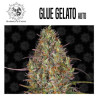 GLUE GELATO AUTO