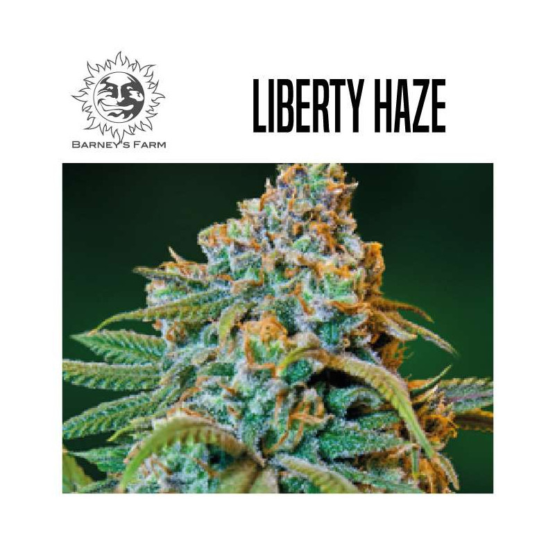 LIBERTY HAZE