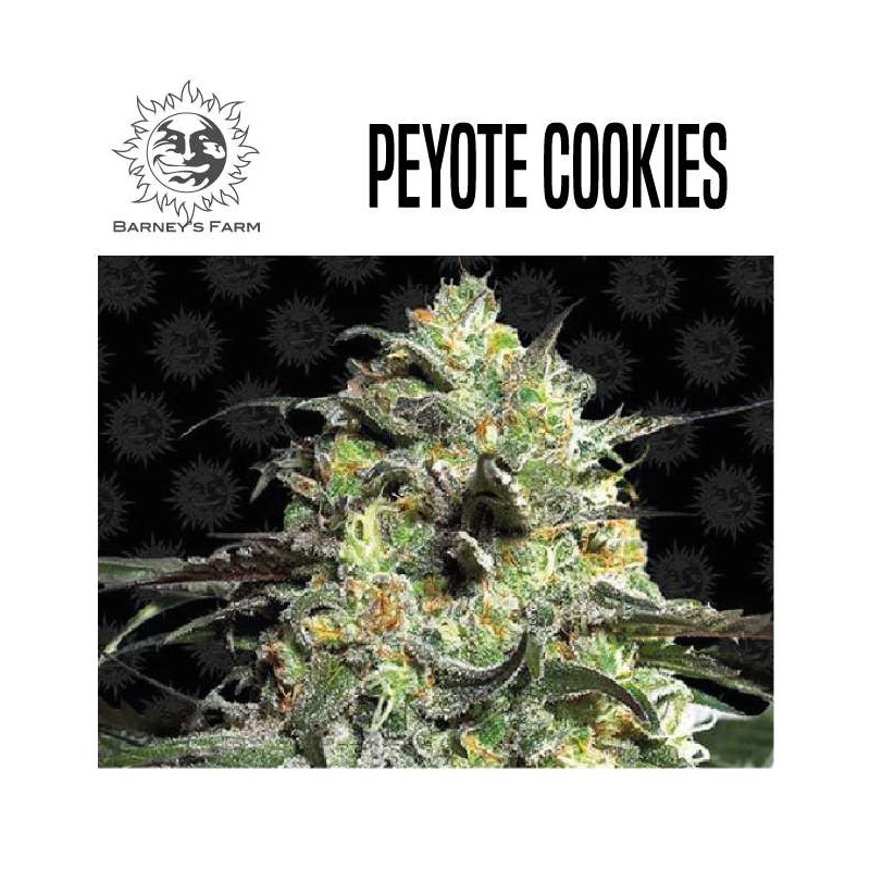 PEYOTE COOKIES