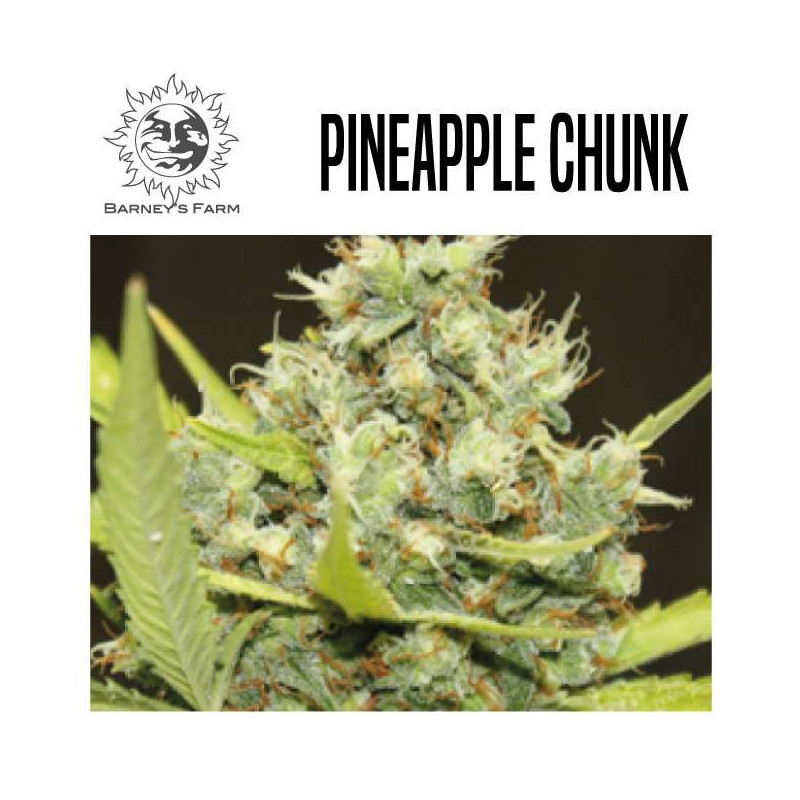 PINEAPPLE CHUNK