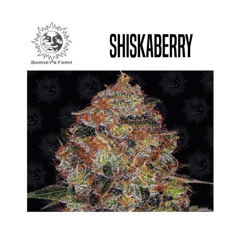 SHISKABERRY