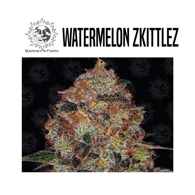 WATERMELON ZKITTLEZ