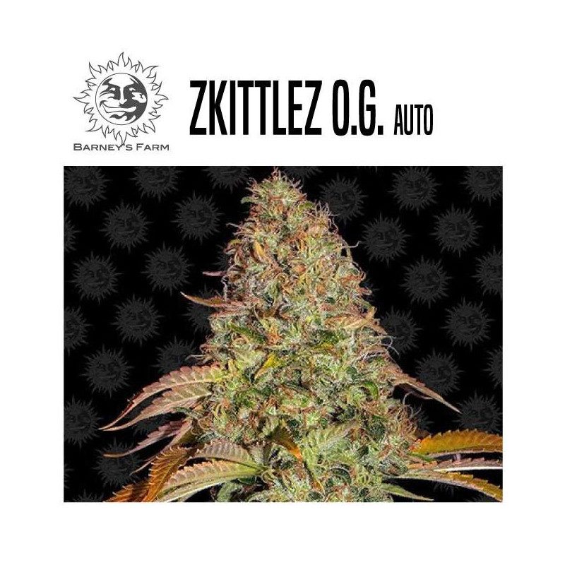 ZKITTLEZ OG AUTO