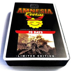 AMNESIA COOKIES