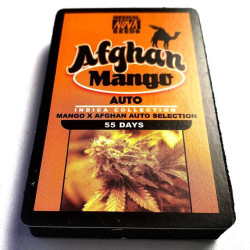 Afghan Mango auto