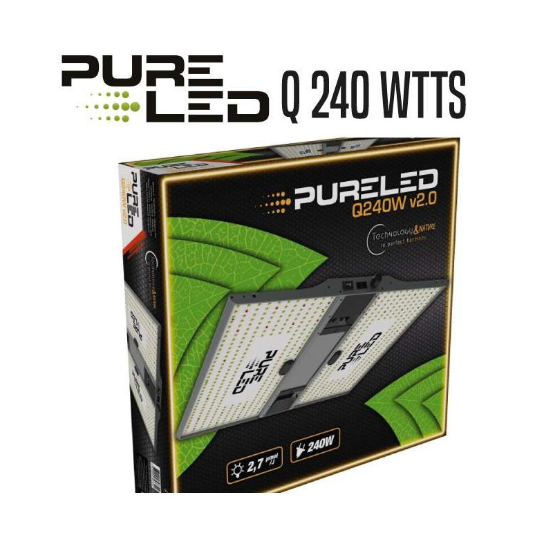 LED PURE LED Q240 V2.0 240 WTTS
