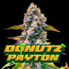 DONUTZ PAYTON