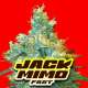 JACK MIMO