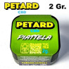 PETARD PIATELLA 