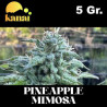 KANAI PINEAPPLE MIMOSA