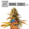 ORANGE COOKIES