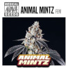 ANIMAL MINTZ