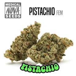 PISTACHIO