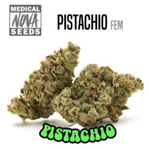 PISTACHIO