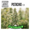 PISTACHIO
