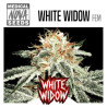 WHITE WIDOW MEDICAL NOVA