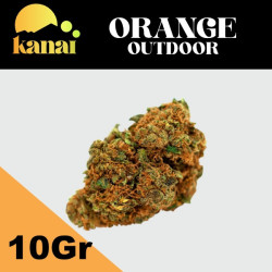 ORANGE CBD OUTDOOR
