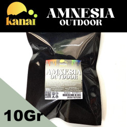 AMNESIA HAZE CBD OUTDOOR