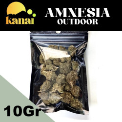 KANAI AMNESIA HAZE EXTERIOR