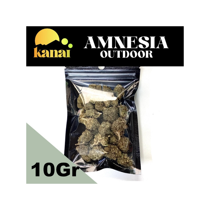 AMNESIA HAZE CBD OUTDOOR