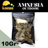 AMNESIA HAZE CBD OUTDOOR