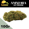 KANAI AMNESIA HAZE EXTERIOR