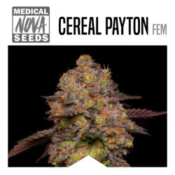 CEREAL PAYTON CALI WEED MEDICAL NOVA