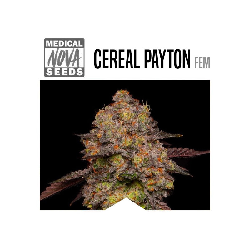 CEREAL PAYTON CALI WEED MEDICAL NOVA