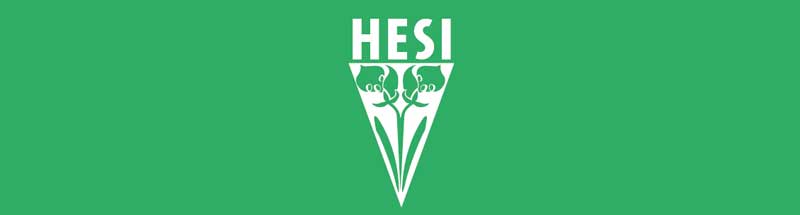 logo heisi logo heisi