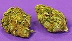 Blue Elephant - cannabis vignette de la galerie photo zoom hd de la blue elephant cannabis