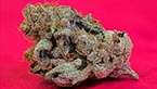 Critical Kush Barneys farm vignette de la galerie photo zoom hd de Critical Kush de Barney's farm