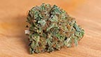 Medical nova seeds - Skunk 94 vignette de la galerie photo hd de Skunk 94
